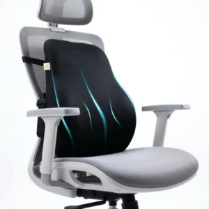 arunavi orthoback lumbar cushion (back rest pillow)